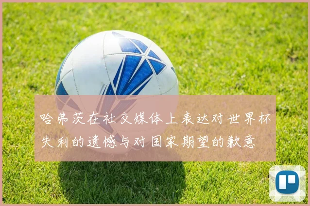 哈弗茨在社交媒体上表达对世界杯失利的遗憾与对国家期望的歉意